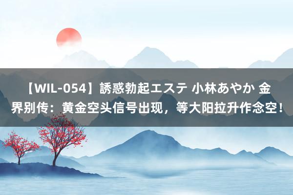 【WIL-054】誘惑勃起エステ 小林あやか 金界别传：黄金空头信号出现，等大阳拉升作念空！