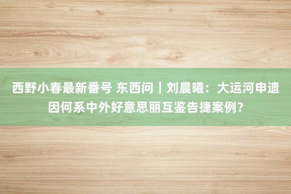 西野小春最新番号 东西问｜刘晨曦：大运河申遗因何系中外好意思丽互鉴告捷案例？