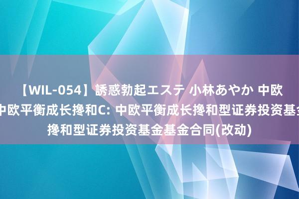 【WIL-054】誘惑勃起エステ 小林あやか 中欧平衡成长搀和A，中欧平衡成长搀和C: 中欧平衡成长搀和型证券投资基金基金合同(改动)