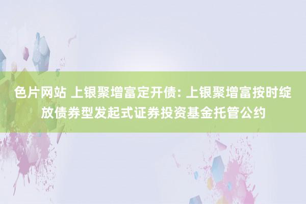 色片网站 上银聚增富定开债: 上银聚增富按时绽放债券型发起式证券投资基金托管公约