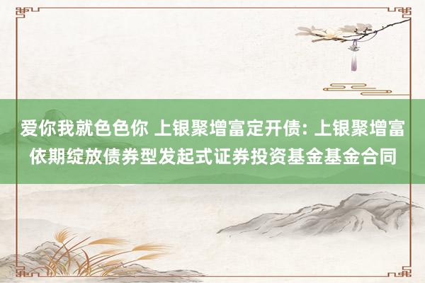 爱你我就色色你 上银聚增富定开债: 上银聚增富依期绽放债券型发起式证券投资基金基金合同