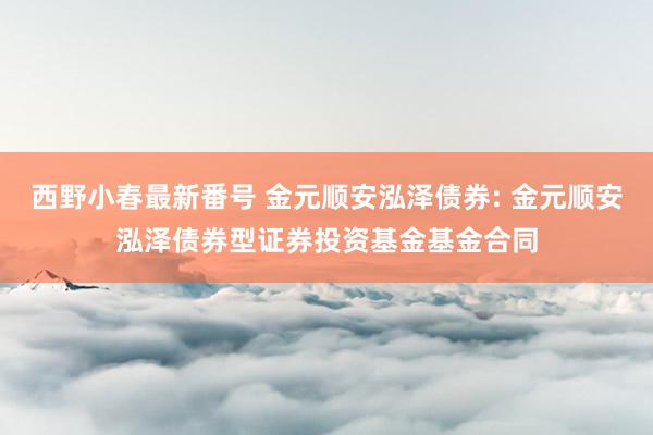 西野小春最新番号 金元顺安泓泽债券: 金元顺安泓泽债券型证券投资基金基金合同