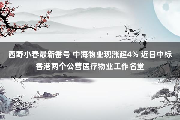 西野小春最新番号 中海物业现涨超4% 近日中标香港两个公营医疗物业工作名堂