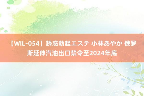 【WIL-054】誘惑勃起エステ 小林あやか 俄罗斯延伸汽油出口禁令至2024年底