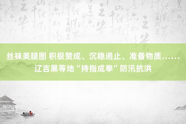 丝袜美腿图 积极赞成、沉稳遏止、准备物质……辽吉黑等地“持指成拳”防汛抗洪