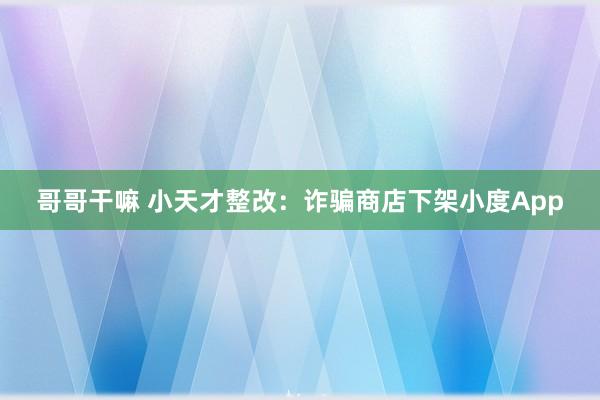 哥哥干嘛 小天才整改：诈骗商店下架小度App