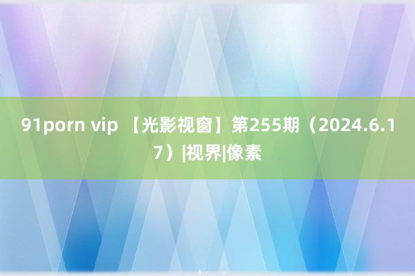 91porn vip 【光影视窗】第255期（2024.6.17）|视界|像素