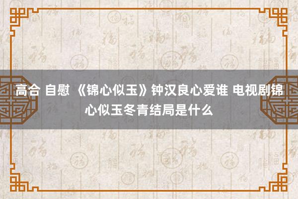 高合 自慰 《锦心似玉》钟汉良心爱谁 电视剧锦心似玉冬青结局是什么