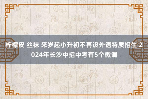 柠檬皮 丝袜 来岁起小升初不再设外语特质招生 2024年长沙中招中考有5个微调